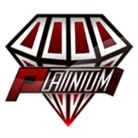 Команда Platinium-Servers Лого