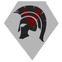 Команда Team Veteran Лого