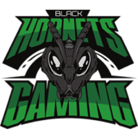 Команда Black Hornets Gaming Лого