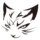 Team XDM Logo