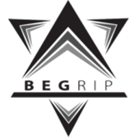 Begrip Gaming logo