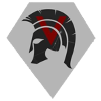 Team Veteran logo