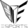 WSG Logo