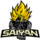 Team Saiyan Logo