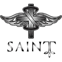 Команда Saint Gaming Лого