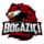 Team Bogazici Logo