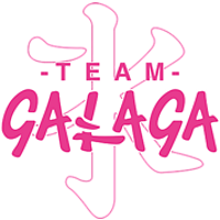 Team Galaga logo