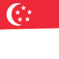 Команда Singapore Лого