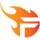 Flash Vietnam Logo