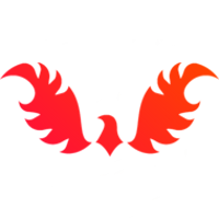 Команда Feenix Лого