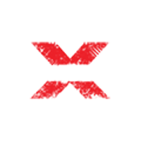 Команда Team X Лого