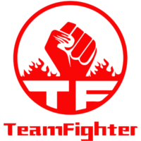 Team Fighter