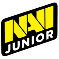 Natus Vincere Junior