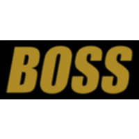Команда BOSS Лого