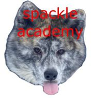 Spackle Academy