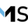 MS Company Logo