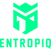 Команда Entropiq Лого