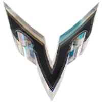 Команда Vizer Лого
