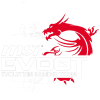 Команда MSI Evolution GT Лого