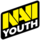 Natus Vincere Youth Logo