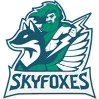 Skyfoxes. logo