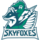 Skyfoxes. Logo