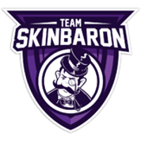 Team SkinBaron logo