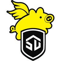 Команда SAIM SE Лого