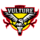 Team Vulture Logo