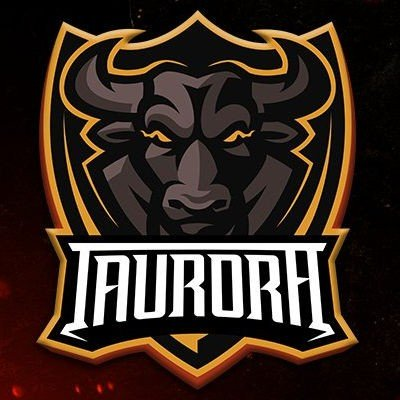 2018 Taurora Invitational 2 [Taurora] Турнир Лого