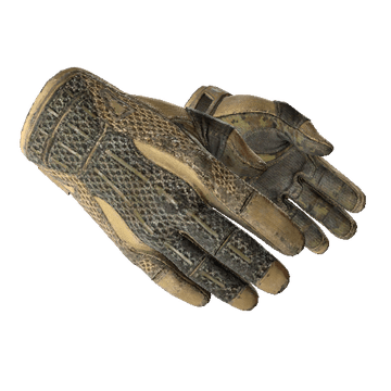 Sport Gloves, Arid