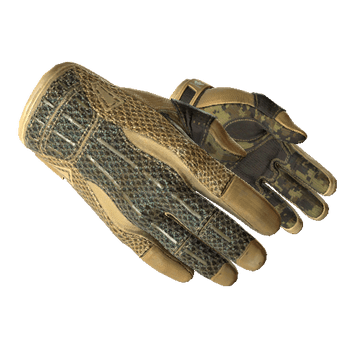 Sport Gloves, Arid